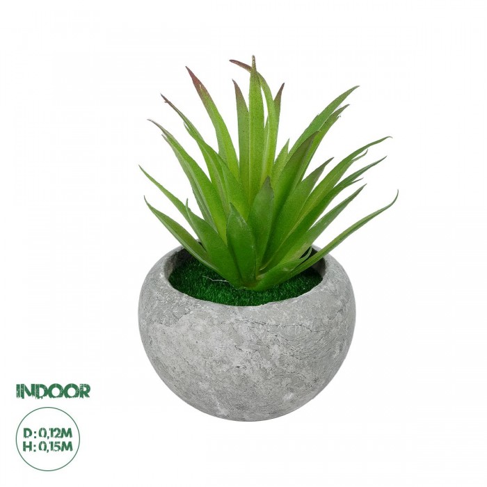 GloboStar® Artificial Garden AIR PLANT TILLANDSIA POTTED PLANT 21036 Διακοσμητικό Φυτό Τιλάντσια Φ12 x Υ15cm GloboStar® Artificial Garden AIR PLANT TILLANDSIA POTTED PLANT 21036 Διακοσμητικό Φυτό Τιλάντσια Φ12 x Υ15cm