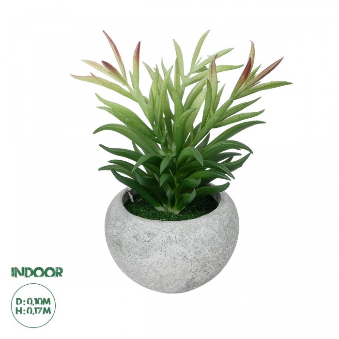 GloboStar® Artificial Garden SUCCULENT CRASSULA POTTED PLANT 21038 Διακοσμητικό Φυτό Κρασούλα Φ10 x Υ17cm GloboStar® Artificial Garden SUCCULENT CRASSULA POTTED PLANT 21038 Διακοσμητικό Φυτό Κρασούλα Φ10 x Υ17cm