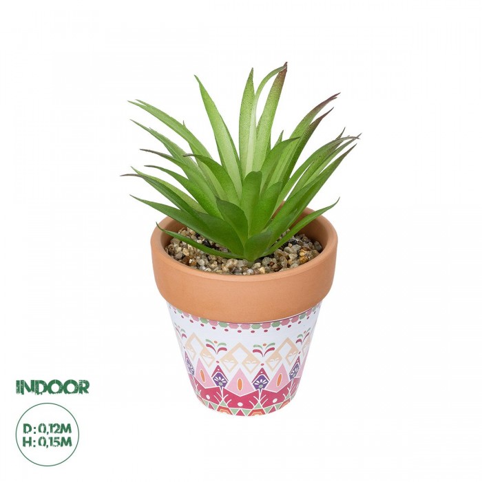 GloboStar® Artificial Garden AIR PLANT NEOPHYTUM POTTED PLANT 21043 Διακοσμητικό Φυτό Νεόφυτο Φ12 x Υ15cm GloboStar® Artificial Garden AIR PLANT NEOPHYTUM POTTED PLANT 21043 Διακοσμητικό Φυτό Νεόφυτο Φ12 x Υ15cm