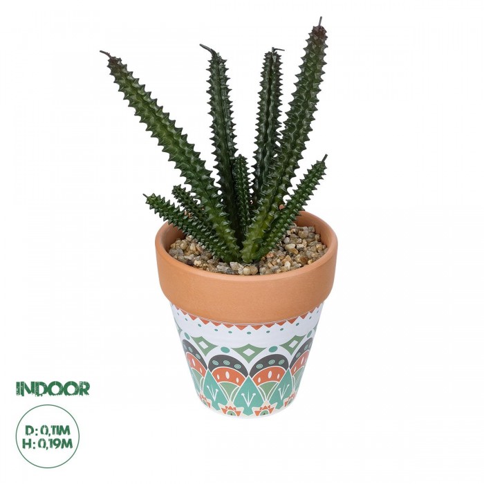 GloboStar® Artificial Garden SUCCULENT EUPHORBIA POTTED PLANT 21045 Διακοσμητικό Φυτό Ευφορβία Φ11 x Υ19cm GloboStar® Artificial Garden SUCCULENT EUPHORBIA POTTED PLANT 21045 Διακοσμητικό Φυτό Ευφορβία Φ11 x Υ19cm