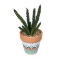 GloboStar® Artificial Garden SUCCULENT EUPHORBIA POTTED PLANT 21045 Διακοσμητικό Φυτό Ευφορβία Φ11 x Υ19cm GloboStar® Artificial Garden SUCCULENT EUPHORBIA POTTED PLANT 21045 Διακοσμητικό Φυτό Ευφορβία Φ11 x Υ19cm