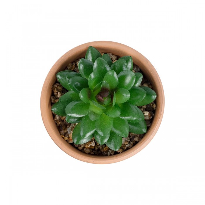 GloboStar® Artificial Garden SUCCULENT SANSEVIERIA POTTED PLANT 21051 Διακοσμητικό Φυτό Σανσεβιέρια  Φ8x Υ14cm