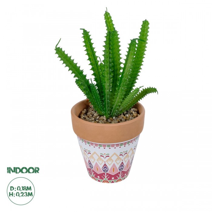 GloboStar® Artificial Garden SUCCULENT EUPHORBIA POTTED PLANT 21052 Διακοσμητικό Φυτό Ευφορβία Φ18 x Υ23cm GloboStar® Artificial Garden SUCCULENT EUPHORBIA POTTED PLANT 21052 Διακοσμητικό Φυτό Ευφορβία Φ18 x Υ23cm