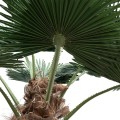 GloboStar® Artificial Garden PLANT PALM TREE 21057 Διακοσμητικό Δέντρο Φοίνικα  Φ240 x Υ600cm