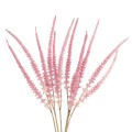 GloboStar® Artificial Garden PALE PINK SAGE BOUQUET 21090 Τεχνητό Διακοσμητικό Μπουκέτο Στάχι Απαλό Ροζ Y50cm GloboStar® Artificial Garden PALE PINK SAGE BOUQUET 21090 Τεχνητό Διακοσμητικό Μπουκέτο Στάχι Απαλό Ροζ Y50cm
