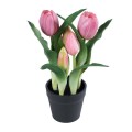 GloboStar® Artificial Garden PINK TULIP 21092 Διακοσμητικό Φυτό Ροζ Τουλίπα Υ23cm GloboStar® Artificial Garden PINK TULIP 21092 Διακοσμητικό Φυτό Ροζ Τουλίπα Υ23cm