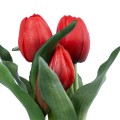GloboStar® Artificial Garden RED TULIP 21094 Διακοσμητικό Φυτό Κόκκινη Τουλίπα Υ23cm
