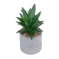 GloboStar® Artificial Garden SUCCULENT ALOE 21096 Διακοσμητικό Φυτό Παχύφυτο Αλόη Υ17cm GloboStar® Artificial Garden SUCCULENT ALOE 21096 Διακοσμητικό Φυτό Παχύφυτο Αλόη Υ17cm