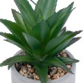 GloboStar® Artificial Garden SUCCULENT ALOE 21096 Διακοσμητικό Φυτό Παχύφυτο Αλόη Υ17cm GloboStar® Artificial Garden SUCCULENT ALOE 21096 Διακοσμητικό Φυτό Παχύφυτο Αλόη Υ17cm