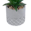 GloboStar® Artificial Garden SUCCULENT ALOE 21096 Διακοσμητικό Φυτό Παχύφυτο Αλόη Υ17cm GloboStar® Artificial Garden SUCCULENT ALOE 21096 Διακοσμητικό Φυτό Παχύφυτο Αλόη Υ17cm