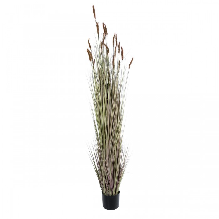 GloboStar® Artificial Garden BROWN LAGURUS 21103 Διακοσμητικό Φυτό Καφέ Λαγοουρά Υ180cm