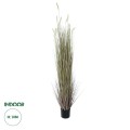 GloboStar® Artificial Garden BEIGE LAGURUS 21103 Διακοσμητικό Φυτό Μπεζ Λαγοουρά Υ180cm