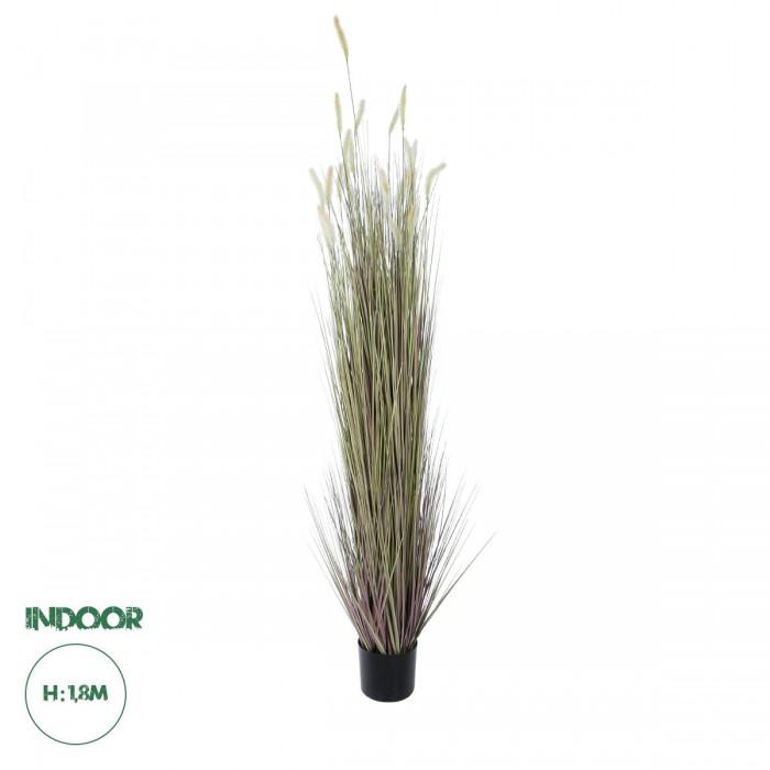 GloboStar® Artificial Garden BEIGE LAGURUS 21103 Διακοσμητικό Φυτό Μπεζ Λαγοουρά Υ180cm
