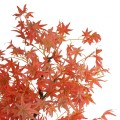 GloboStar® Artificial Garden MAPLE TREE 21105 Τεχνητό Διακοσμητικό Δέντρο Σφένδαμος Μ90 x Π90 x Υ210cm GloboStar® Artificial Garden MAPLE TREE 21105 Τεχνητό Διακοσμητικό Δέντρο Σφένδαμος Μ90 x Π90 x Υ210cm