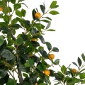 GloboStar® Artificial Garden ORANGE TREE 21110 Τεχνητό Διακοσμητικό Δέντρο Πορτοκαλιά Μ110 x Π80 x Υ200cm GloboStar® Artificial Garden ORANGE TREE 21110 Τεχνητό Διακοσμητικό Δέντρο Πορτοκαλιά Μ110 x Π80 x Υ200cm