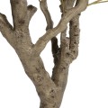 GloboStar® Artificial Garden OLIVE TREE 21112 Τεχνητό Διακοσμητικό Δέντρο Ελιά Υ220cm GloboStar® Artificial Garden OLIVE TREE 21112 Τεχνητό Διακοσμητικό Δέντρο Ελιά Υ220cm