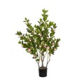 GloboStar® Artificial Garden CAMELIA 21115 Τεχνητό Διακοσμητικό Δέντρο Καμέλια Μ50 x Π30 x Υ90cm GloboStar® Artificial Garden CAMELIA 21115 Τεχνητό Διακοσμητικό Δέντρο Καμέλια Μ50 x Π30 x Υ90cm