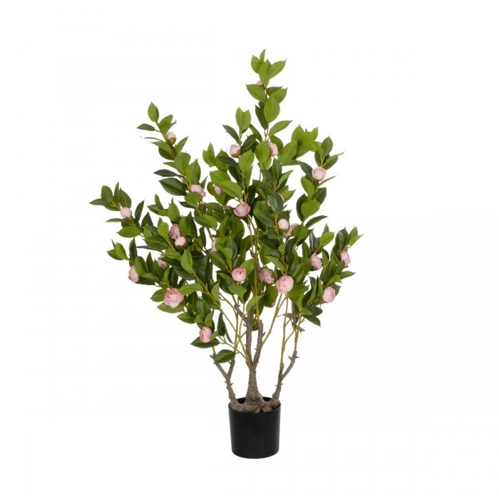 GloboStar® Artificial Garden CAMELIA 21115 Τεχνητό Διακοσμητικό Δέντρο Καμέλια Μ50 x Π30 x Υ90cm GloboStar® Artificial Garden CAMELIA 21115 Τεχνητό Διακοσμητικό Δέντρο Καμέλια Μ50 x Π30 x Υ90cm
