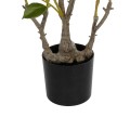 GloboStar® Artificial Garden CAMELIA 21115 Τεχνητό Διακοσμητικό Δέντρο Καμέλια Μ50 x Π30 x Υ90cm GloboStar® Artificial Garden CAMELIA 21115 Τεχνητό Διακοσμητικό Δέντρο Καμέλια Μ50 x Π30 x Υ90cm