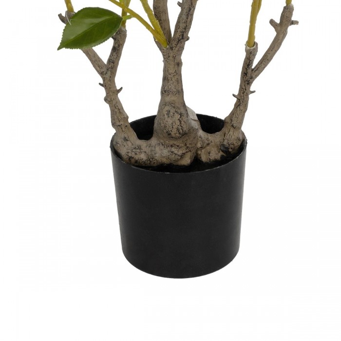 GloboStar® Artificial Garden CAMELIA 21115 Τεχνητό Διακοσμητικό Δέντρο Καμέλια Μ50 x Π30 x Υ90cm GloboStar® Artificial Garden CAMELIA 21115 Τεχνητό Διακοσμητικό Δέντρο Καμέλια Μ50 x Π30 x Υ90cm