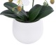 GloboStar® Artificial Garden WHITE ORCHID 21117 Διακοσμητικό Φυτό Λευκή Ορχιδέα Υ45cm GloboStar® Artificial Garden WHITE ORCHID 21117 Διακοσμητικό Φυτό Λευκή Ορχιδέα Υ45cm