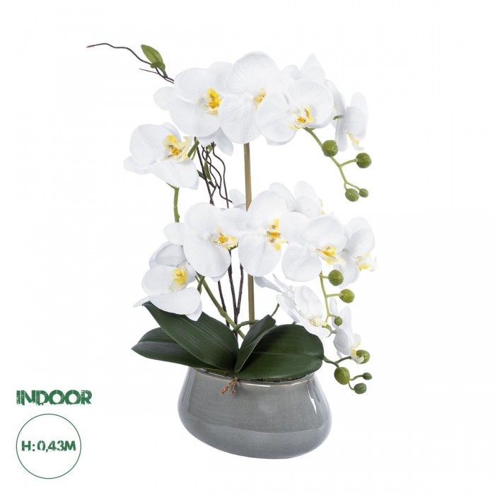 GloboStar® Artificial Garden WHITE ORCHID 21120 Διακοσμητικό Φυτό Λευκή Ορχιδέα Υ43cm GloboStar® Artificial Garden WHITE ORCHID 21120 Διακοσμητικό Φυτό Λευκή Ορχιδέα Υ43cm