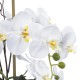 GloboStar® Artificial Garden WHITE ORCHID 21120 Διακοσμητικό Φυτό Λευκή Ορχιδέα Υ43cm GloboStar® Artificial Garden WHITE ORCHID 21120 Διακοσμητικό Φυτό Λευκή Ορχιδέα Υ43cm