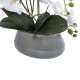 GloboStar® Artificial Garden WHITE ORCHID 21120 Διακοσμητικό Φυτό Λευκή Ορχιδέα Υ43cm GloboStar® Artificial Garden WHITE ORCHID 21120 Διακοσμητικό Φυτό Λευκή Ορχιδέα Υ43cm