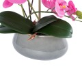 GloboStar® Artificial Garden PINK ORCHID 21121 Διακοσμητικό Φυτό Έντονο Ροζ Ορχιδέα Υ43cm GloboStar® Artificial Garden PINK ORCHID 21121 Διακοσμητικό Φυτό Έντονο Ροζ Ορχιδέα Υ43cm
