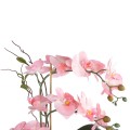 GloboStar® Artificial Garden PINK ORCHID 21126 Διακοσμητικό Φυτό Ροζ Ορχιδέα Υ42cm GloboStar® Artificial Garden PINK ORCHID 21126 Διακοσμητικό Φυτό Ροζ Ορχιδέα Υ42cm