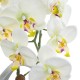 GloboStar® Artificial Garden WHITE ORCHID 21128 Διακοσμητικό Φυτό Λευκή Ορχιδέα Υ39cm