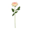 GloboStar® Artificial Garden CHAMPAGNE ROSE BRANCH 21141 Τεχνητό Διακοσμητικό Κλαδί Σαμπανιζέ Τριαντάφυλλο Y50cm GloboStar® Artificial Garden CHAMPAGNE ROSE BRANCH 21141 Τεχνητό Διακοσμητικό Κλαδί Σαμπανιζέ Τριαντάφυλλο Y50cm
