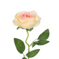 GloboStar® Artificial Garden CHAMPAGNE ROSE BRANCH 21141 Τεχνητό Διακοσμητικό Κλαδί Σαμπανιζέ Τριαντάφυλλο Y50cm GloboStar® Artificial Garden CHAMPAGNE ROSE BRANCH 21141 Τεχνητό Διακοσμητικό Κλαδί Σαμπανιζέ Τριαντάφυλλο Y50cm