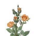 GloboStar® Artificial Garden SALMON ROSE BRANCH 21149 Τεχνητό Διακοσμητικό Κλαδί Σαμπανιζέ Τριαντάφυλλο Y65cm GloboStar® Artificial Garden SALMON ROSE BRANCH 21149 Τεχνητό Διακοσμητικό Κλαδί Σαμπανιζέ Τριαντάφυλλο Y65cm