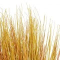 GloboStar® Artificial Garden GRASS BUSH 21171 Τεχνητό Διακοσμητικό Φυτό Θάμνος Γρασίδι Μ30 x Π20 x Υ65cm