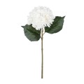 GloboStar® Artificial Garden WHITE HYDRANGEA BRANCH 21173 Τεχνητό Διακοσμητικό Κλαδί Ορτανσίας Λευκό Y47cm GloboStar® Artificial Garden WHITE HYDRANGEA BRANCH 21173 Τεχνητό Διακοσμητικό Κλαδί Ορτανσίας Λευκό Y47cm
