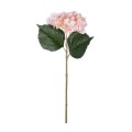 GloboStar® Artificial Garden SALMON HYDRANGEA BRANCH 21175 Τεχνητό Διακοσμητικό Κλαδί Ορτανσίας Σαμπανιζέ Y47cm GloboStar® Artificial Garden SALMON HYDRANGEA BRANCH 21175 Τεχνητό Διακοσμητικό Κλαδί Ορτανσίας Σαμπανιζέ Y47cm