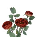 GloboStar® Artificial Garden RED CLIMBING ROSE BRANCH 21182 Τεχνητό Διακοσμητικό Κλαδί Τριαντάφυλλο Κόκκινο Y70cm GloboStar® Artificial Garden RED CLIMBING ROSE BRANCH 21182 Τεχνητό Διακοσμητικό Κλαδί Τριαντάφυλλο Κόκκινο Y70cm