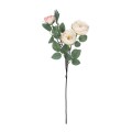 GloboStar® Artificial Garden CHAMPAGNE CLIMBING ROSE BRANCH 21182 Τεχνητό Διακοσμητικό Κλαδί Τριαντάφυλλο Σαμπανιζέ Y70cm GloboStar® Artificial Garden CHAMPAGNE CLIMBING ROSE BRANCH 21182 Τεχνητό Διακοσμητικό Κλαδί Τριαντάφυλλο Σαμπανιζέ Y70cm