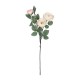 GloboStar® Artificial Garden CHAMPAGNE CLIMBING ROSE BRANCH 21182 Τεχνητό Διακοσμητικό Κλαδί Τριαντάφυλλο Σαμπανιζέ Y70cm