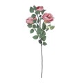 GloboStar® Artificial Garden HOT PINK CLIMBING ROSE BRANCH 21185 Τεχνητό Διακοσμητικό Κλαδί Τριαντάφυλλο Έντονο Ροζ Y70cm GloboStar® Artificial Garden HOT PINK CLIMBING ROSE BRANCH 21185 Τεχνητό Διακοσμητικό Κλαδί Τριαντάφυλλο Έντονο Ροζ Y70cm