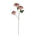 GloboStar® Artificial Garden OLD PINK CLIMBING ROSE BRANCH 21190 Τεχνητό Διακοσμητικό Κλαδί Τριαντάφυλλο Ξεθωριασμένο Ροζ Y66cm GloboStar® Artificial Garden OLD PINK CLIMBING ROSE BRANCH 21190 Τεχνητό Διακοσμητικό Κλαδί Τριαντάφυλλο Ξεθωριασμένο Ροζ Y66cm