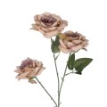 GloboStar® Artificial Garden OLD PINK CLIMBING ROSE BRANCH 21190 Τεχνητό Διακοσμητικό Κλαδί Τριαντάφυλλο Ξεθωριασμένο Ροζ Y66cm GloboStar® Artificial Garden OLD PINK CLIMBING ROSE BRANCH 21190 Τεχνητό Διακοσμητικό Κλαδί Τριαντάφυλλο Ξεθωριασμένο Ροζ Y66cm