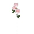 GloboStar® Artificial Garden LIGHT PINK CLIMBING ROSE BRANCH 21193 Τεχνητό Διακοσμητικό Κλαδί Τριαντάφυλλο Ανοιχτό Ροζ Y66cm GloboStar® Artificial Garden LIGHT PINK CLIMBING ROSE BRANCH 21193 Τεχνητό Διακοσμητικό Κλαδί Τριαντάφυλλο Ανοιχτό Ροζ Y66cm