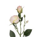 GloboStar® Artificial Garden CHAMPAGNE DAMASK CLIMBING ROSE BRANCH 21198 Τεχνητό Διακοσμητικό Κλαδί Τριαντάφυλλο Σαμπανιζέ Y55cm GloboStar® Artificial Garden CHAMPAGNE DAMASK CLIMBING ROSE BRANCH 21198 Τεχνητό Διακοσμητικό Κλαδί Τριαντάφυλλο Σαμπανιζέ Y55cm