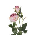 GloboStar® Artificial Garden PINK DAMASK CLIMBING ROSE BRANCH 21199 Τεχνητό Διακοσμητικό Κλαδί Τριαντάφυλλο Σαμπανιζέ Y55cm GloboStar® Artificial Garden PINK DAMASK CLIMBING ROSE BRANCH 21199 Τεχνητό Διακοσμητικό Κλαδί Τριαντάφυλλο Σαμπανιζέ Y55cm