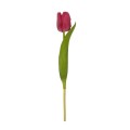 GloboStar® Artificial Garden HOT PINK TULIP BRANCH 21201 Τεχνητό Διακοσμητικό Κλαδί Έντονο Ροζ Τουλίπα Y37cm GloboStar® Artificial Garden HOT PINK TULIP BRANCH 21201 Τεχνητό Διακοσμητικό Κλαδί Έντονο Ροζ Τουλίπα Y37cm