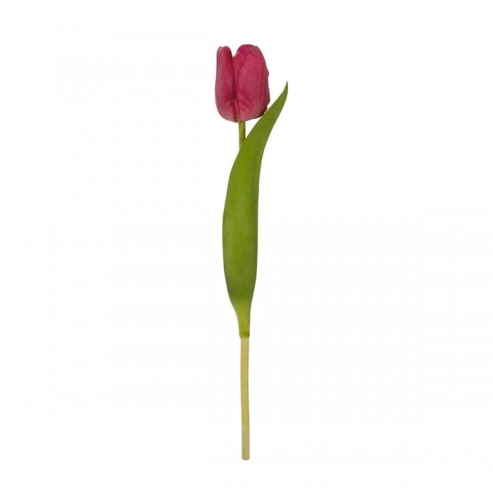 GloboStar® Artificial Garden HOT PINK TULIP BRANCH 21201 Τεχνητό Διακοσμητικό Κλαδί Έντονο Ροζ Τουλίπα Y37cm GloboStar® Artificial Garden HOT PINK TULIP BRANCH 21201 Τεχνητό Διακοσμητικό Κλαδί Έντονο Ροζ Τουλίπα Y37cm