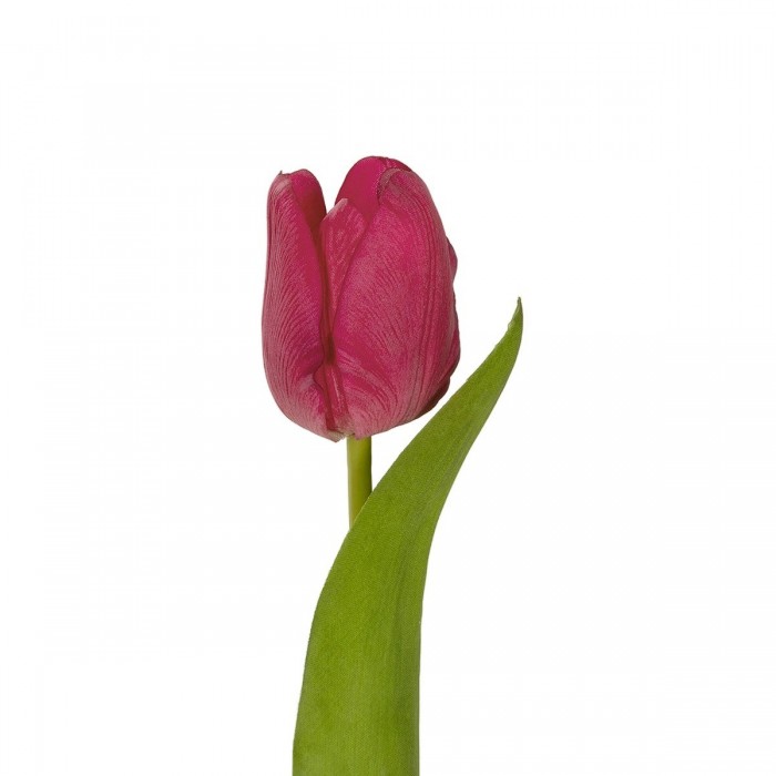 GloboStar® Artificial Garden HOT PINK TULIP BRANCH 21201 Τεχνητό Διακοσμητικό Κλαδί Έντονο Ροζ Τουλίπα Y37cm GloboStar® Artificial Garden HOT PINK TULIP BRANCH 21201 Τεχνητό Διακοσμητικό Κλαδί Έντονο Ροζ Τουλίπα Y37cm