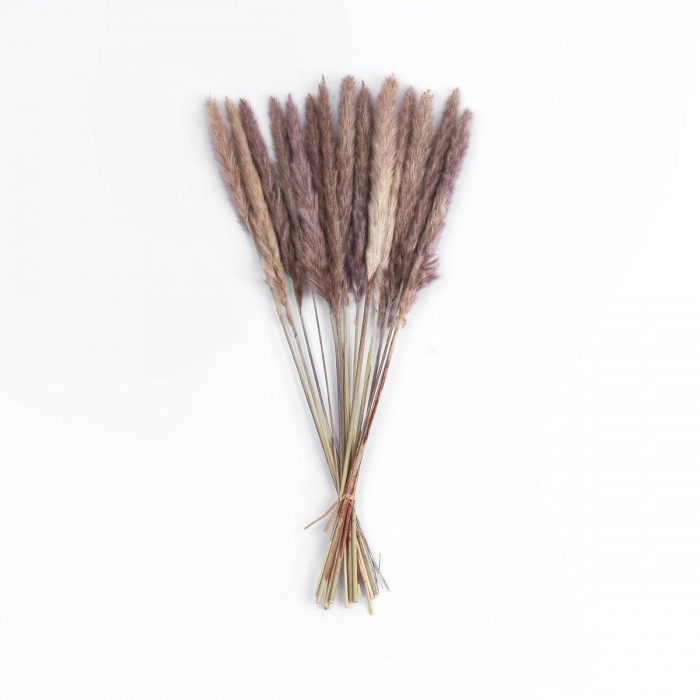 GloboStar® Artificial Garden REAL DRIED BROWN PAMPAS GRASS BUNCH 21115 Αποξηραμένο Διακοσμητικό Μπουκέτο Pampas Kάφε Y50cm